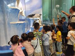 -世纪飞马幼儿园(西城校区)