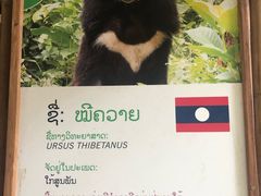 -关西瀑布