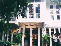 -Fern Forest Cafe