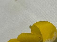 -王品牛排(常州吾悦广场店)