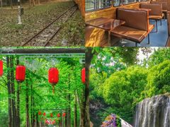 -合肥滨湖国家森林公园