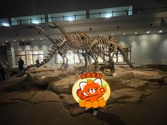 -自贡恐龙博物馆
