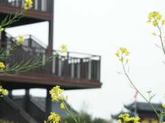 -莲花岛景区
