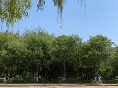 -大兴滨河森林公园