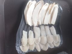 -蘑统田下·野生菌火锅