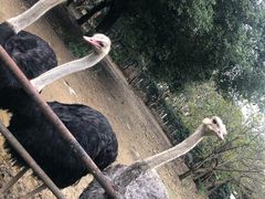 -南昌动物园