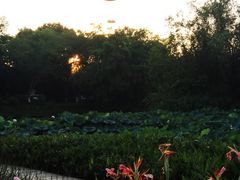 -西溪国家湿地公园