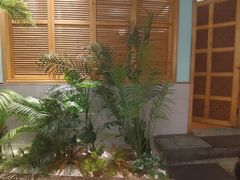 -春润大地海南椰子鸡(沙井京基百纳广场店)