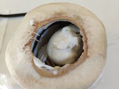 -志龙皇冠吃货椰子铺