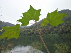 -广州市石门国家森林公园