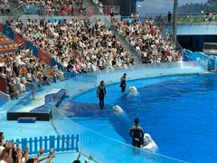 -海合安成都极地海洋公园