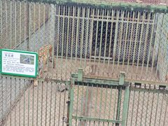 -合肥野生动物园