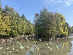 -海珠湖公园