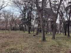 -井之头恩赐公园