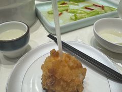 -丁老爷子苏香圆