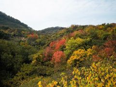 -南京市江宁方山