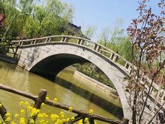 -南汇桃花村