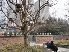 -唐城墙遗址公园