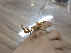 -上海昆虫博物馆