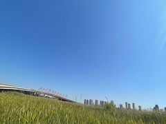 -西安浐灞国家湿地公园