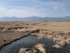 -野鸭湖国家湿地公园