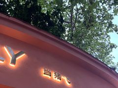 -WHEN PIGS FLY当猪飞