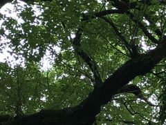 -杭州香格里拉饭店