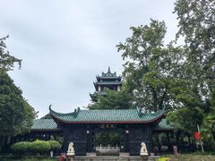 -桂湖森林公园