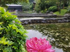 -云溪植物园