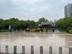 -金山公园