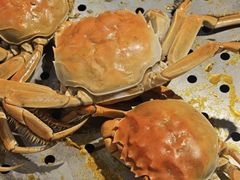 -争先鲜·蒸汽海鲜自助·鲜切牛肉
