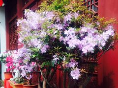 -上海东方肝胆外科医院(嘉定院区)
