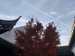 -秋霞圃