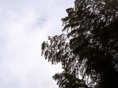 -宁波浙东大竹海景区