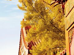 -故宫博物院(故宫)