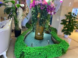 -伽美医疗美容医院·高端抗衰中心