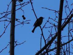 -首都医科大学附属北京友谊医院(西城院区)