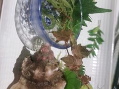 -松临·铁板烧&Omakase(神农店)