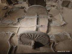 -洛阳周王城天子驾六博物馆