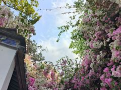 -深圳国际园林花卉博览园