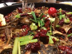 -老板恋上鱼(高新万达店)