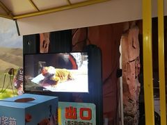 -正佳雨林生态植物园