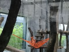 -武汉动物园