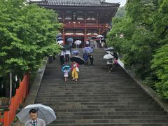 -镰仓 峰本(八幡宫前本店)