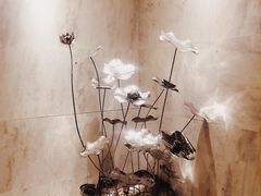 -阿五黄河大鲤鱼(纬三路店)