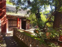 -店头古堡