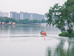 -顺峰山公园