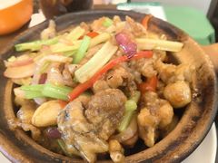 啫啫牛蛙煲-绿柠食堂(北外滩店)