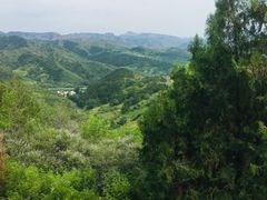 -磬锤峰森林公园