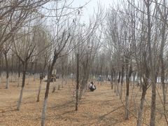 -西青郊野公园